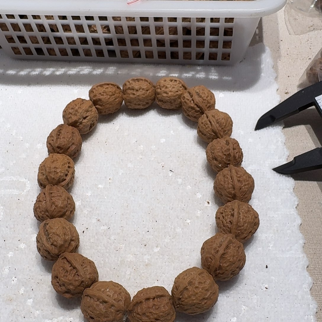 核桃手串/手链64号边肚高23