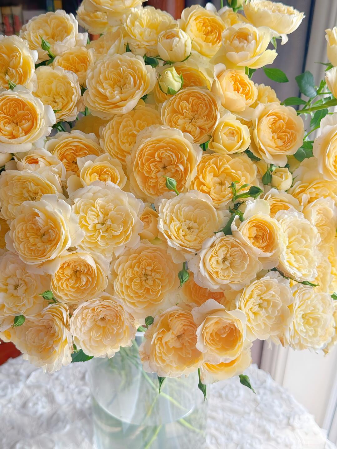 【向云端鲜花】蜜柚汁阳台-多头玫瑰