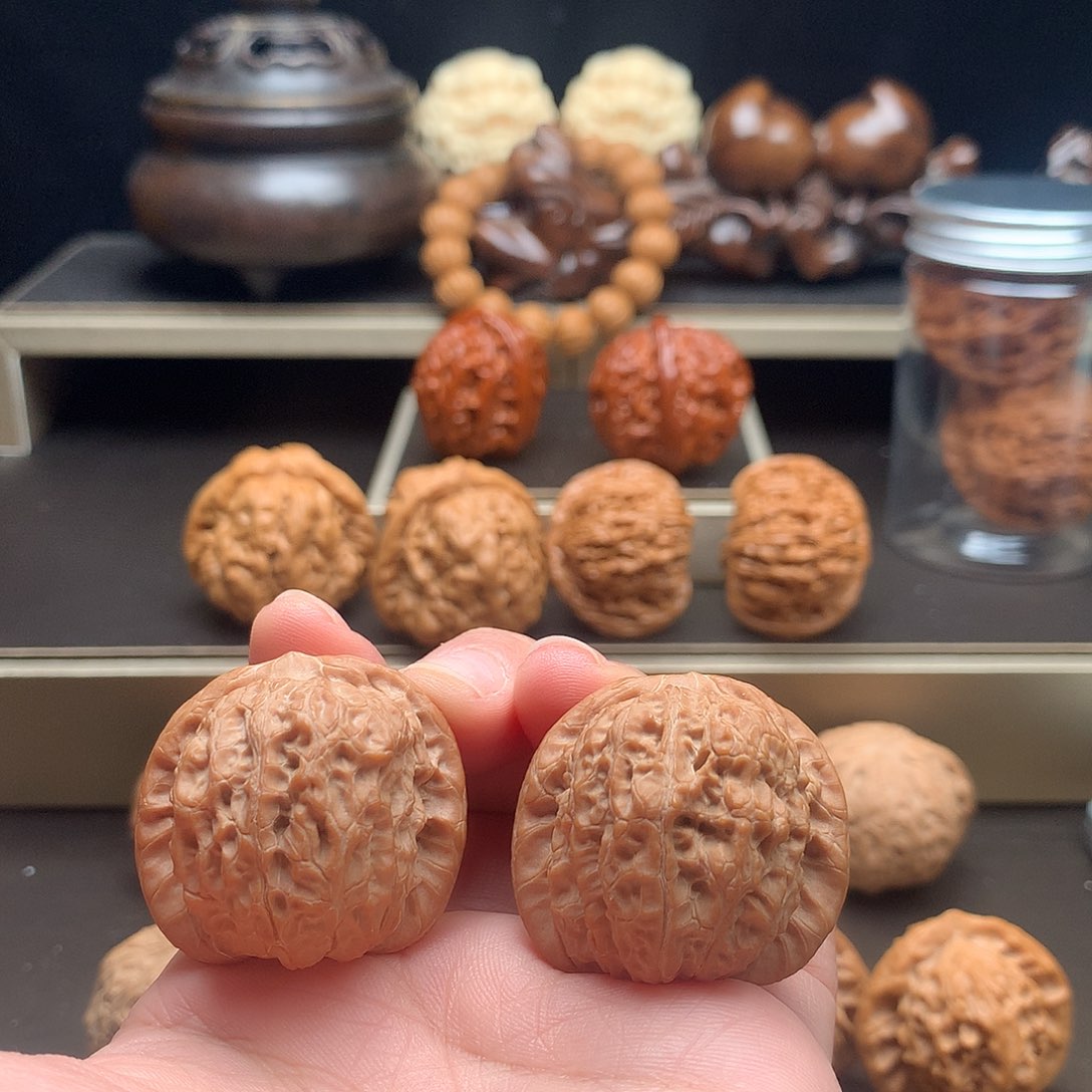 木质类沈原树血麒麟