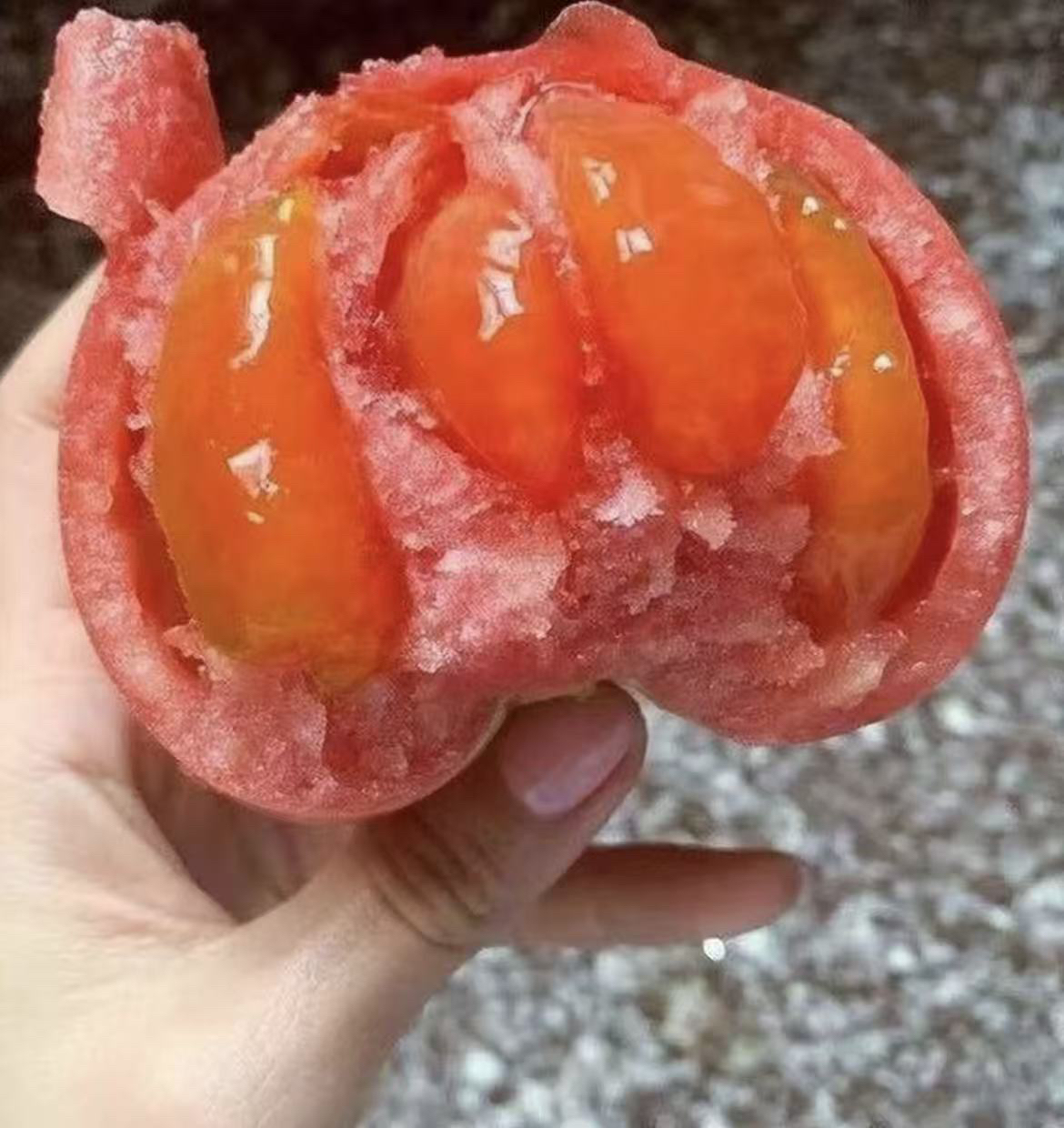 【老口味生吃水果西红柿】精选攀枝花露天老品种口感西红柿沙瓤番茄