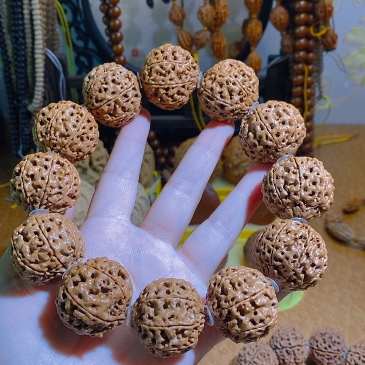 ****龙野生多瓣大金刚手持