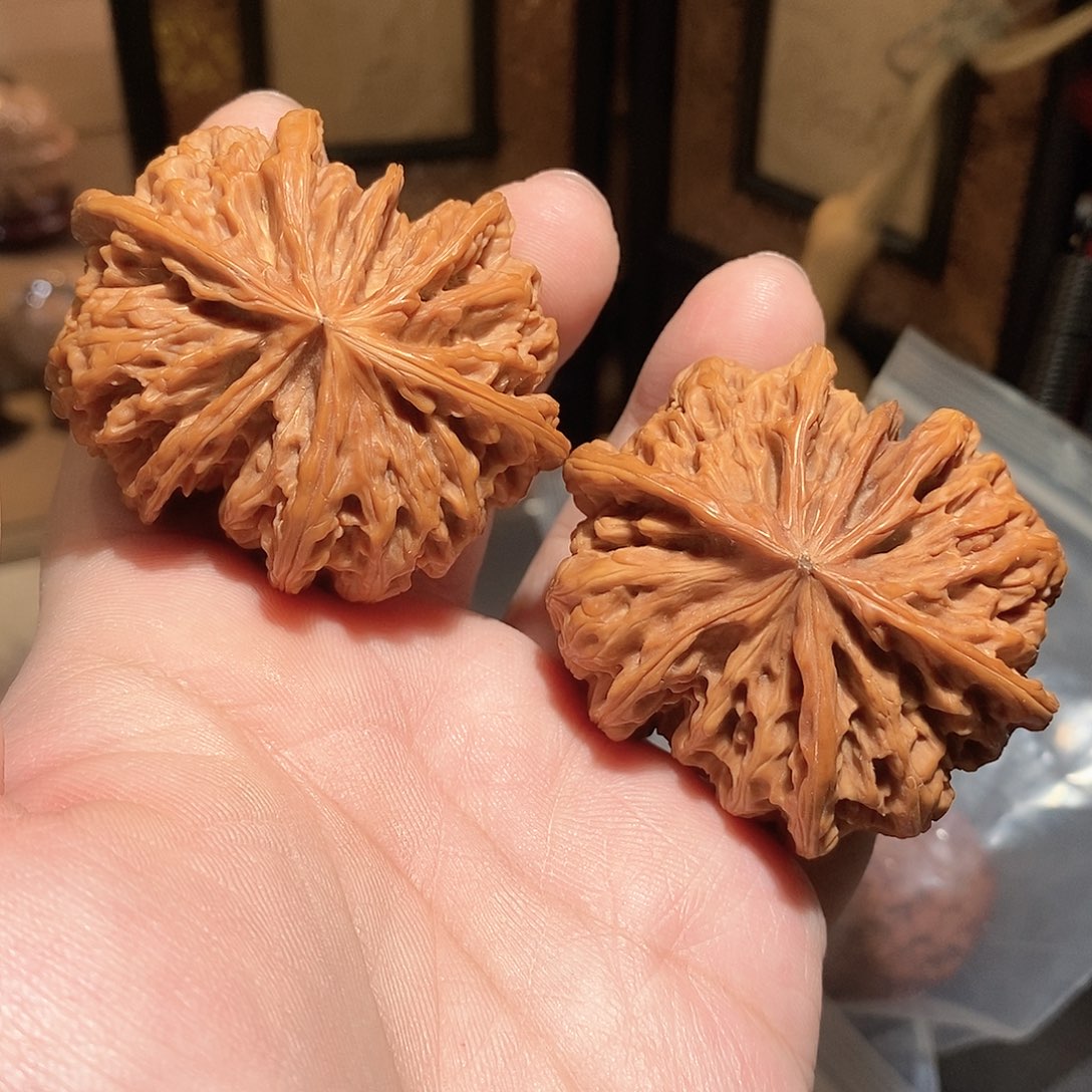 文玩核桃把件9****5野牛七棱56尺