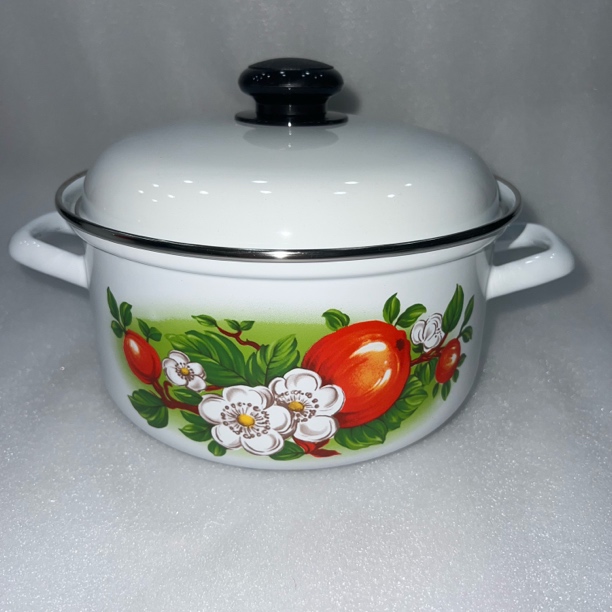 俄罗斯原装进口正品搪瓷双耳锅3升加厚汤锅剩饭家庭厨房通用灶锅