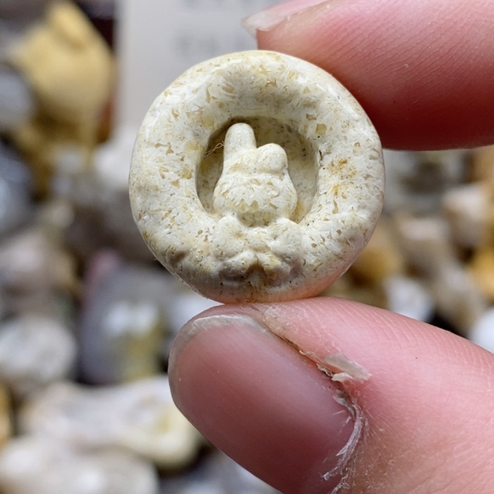 颈饰未镶嵌硅化珊瑚（珊瑚玉）小