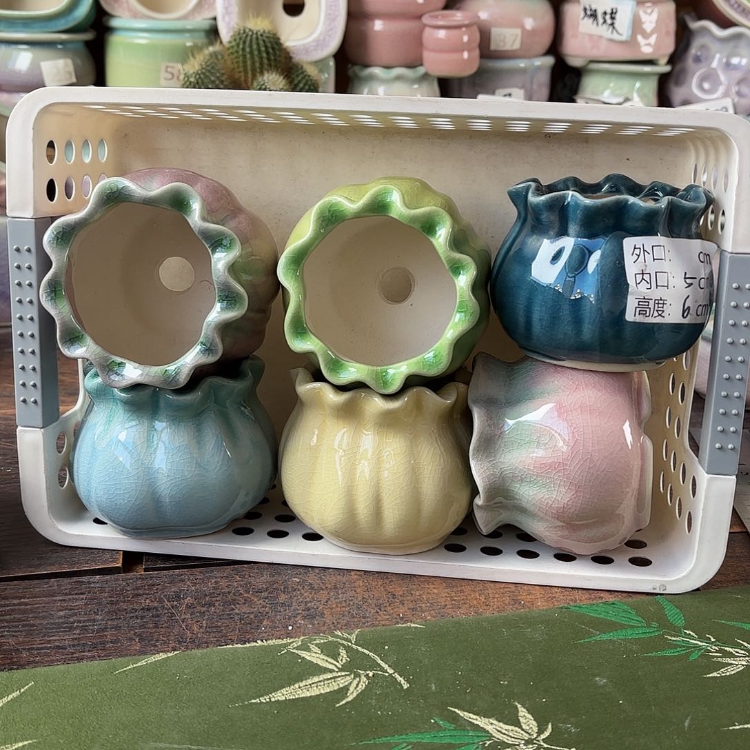 量货/5口高6深浅搭配发6