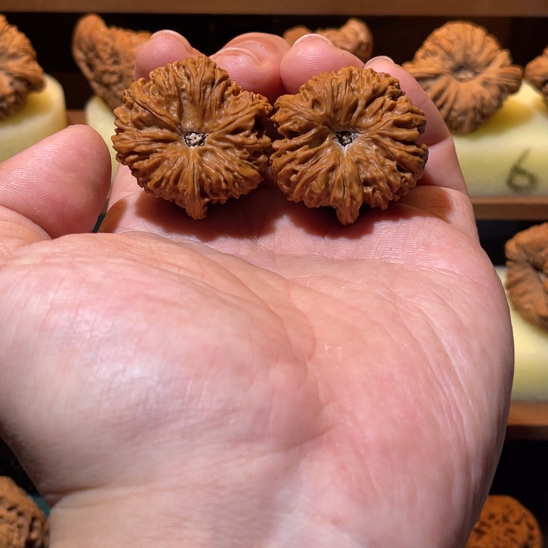 文玩核桃吊坠南疆高炮三棱凹底奔