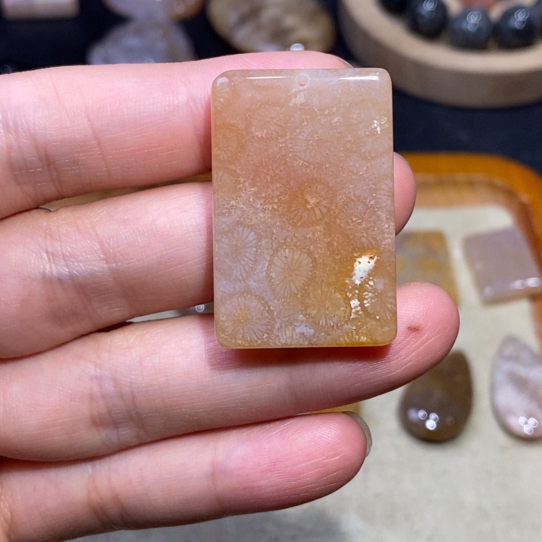 【闪购商品】硅化玉珊瑚玉未镶嵌
