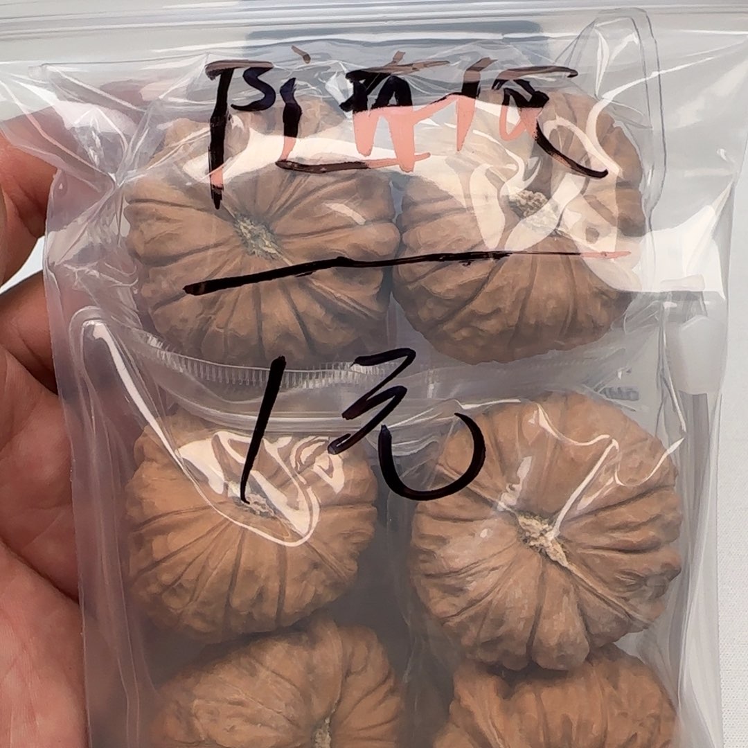 随*?2595455444485558854