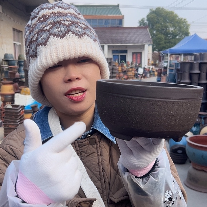 绿萝小心拉毛花盆花盆花盆花盆