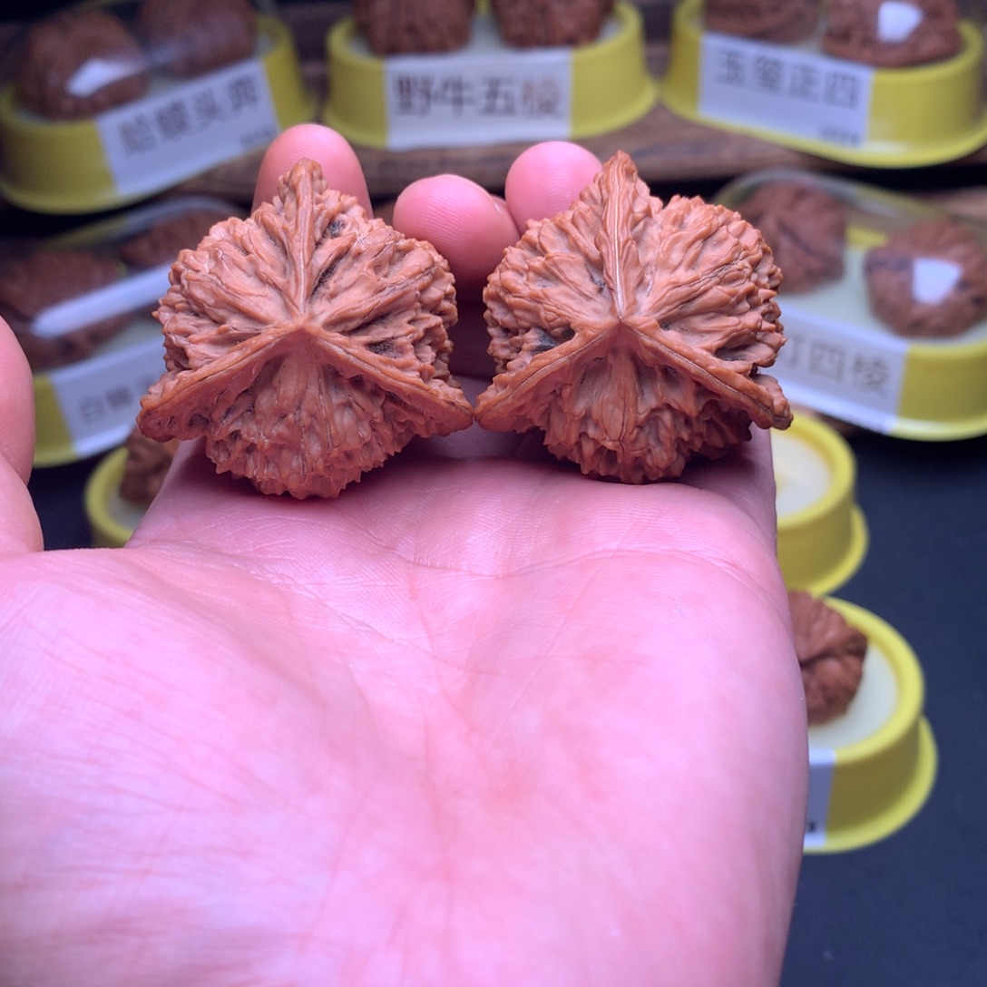 吊坠文玩核桃蟠龙纹奔