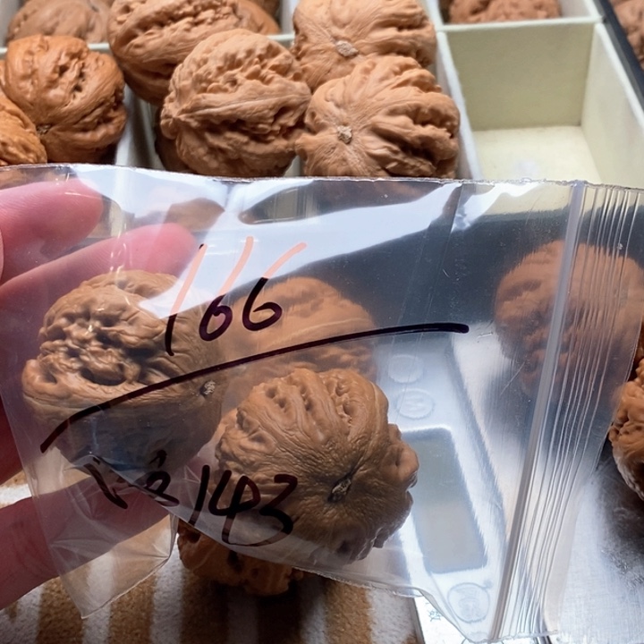 把件文玩核桃用****8