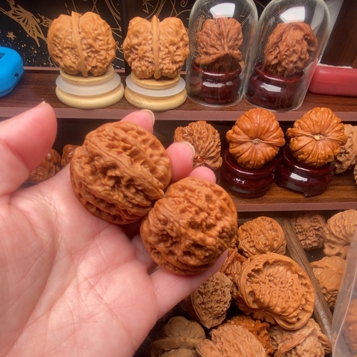 凡***子吊坠文玩核桃粗筋dgkkfjlllll