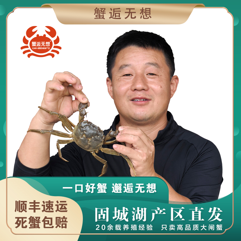 顺丰次日达】鲜活大闸蟹8只固城湖产区精品母蟹4两去绳净重礼盒