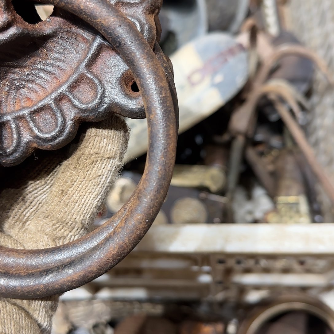 㞮***孞一物一图看好在拍