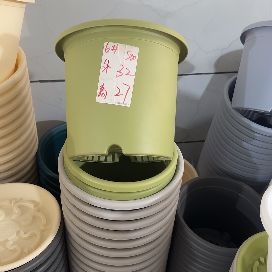 微瑕6号无托，果绿7个