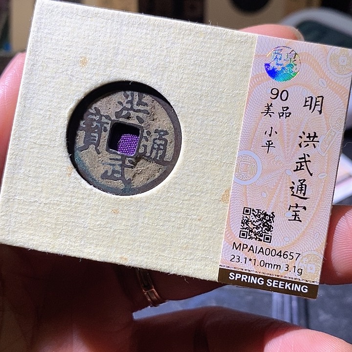 铜洪武通宝。华夏天玺总店657