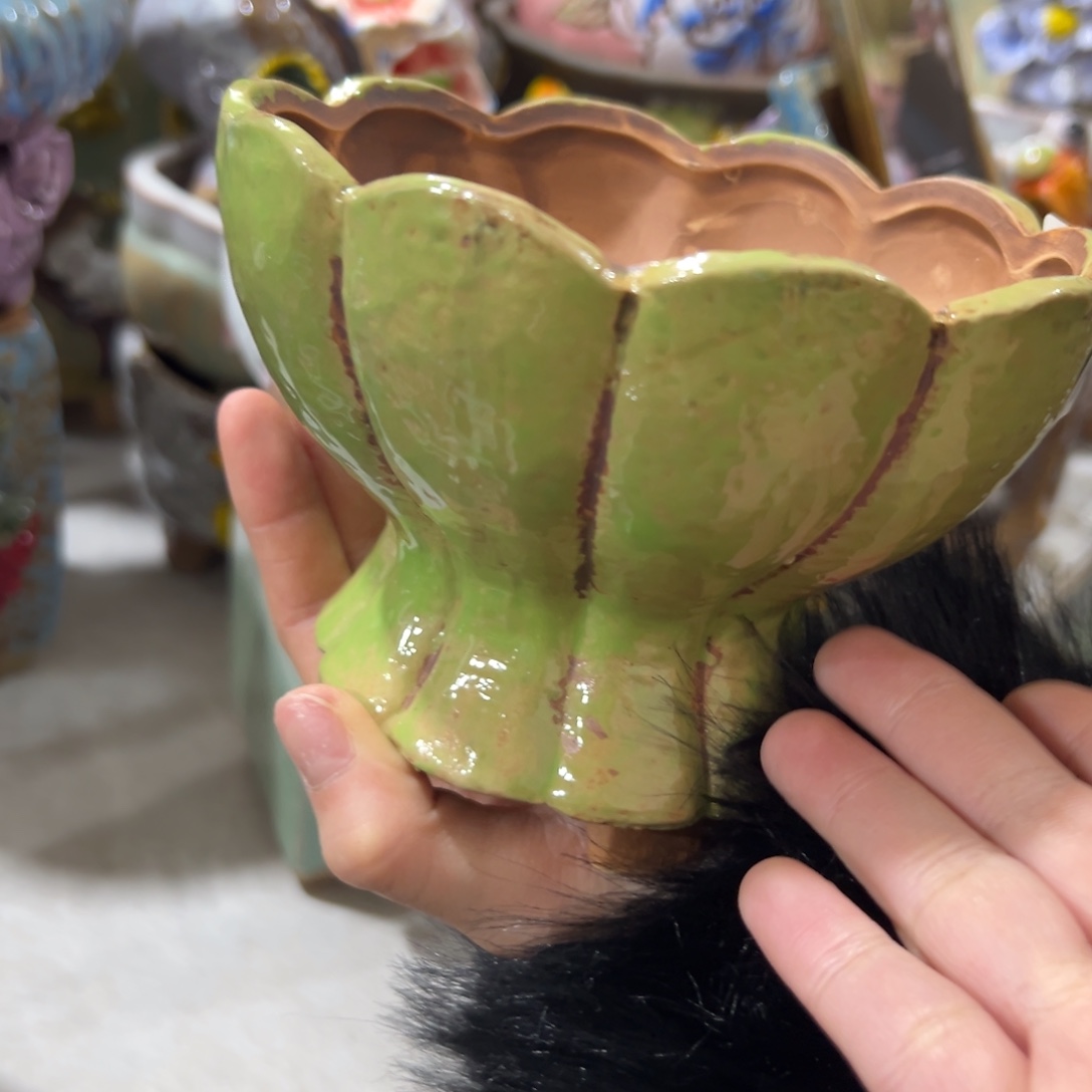 多肉花盆满20发秒拍秒退拉黑