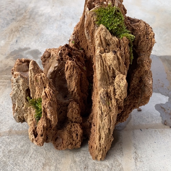 无花朵吸水石吸水石假山