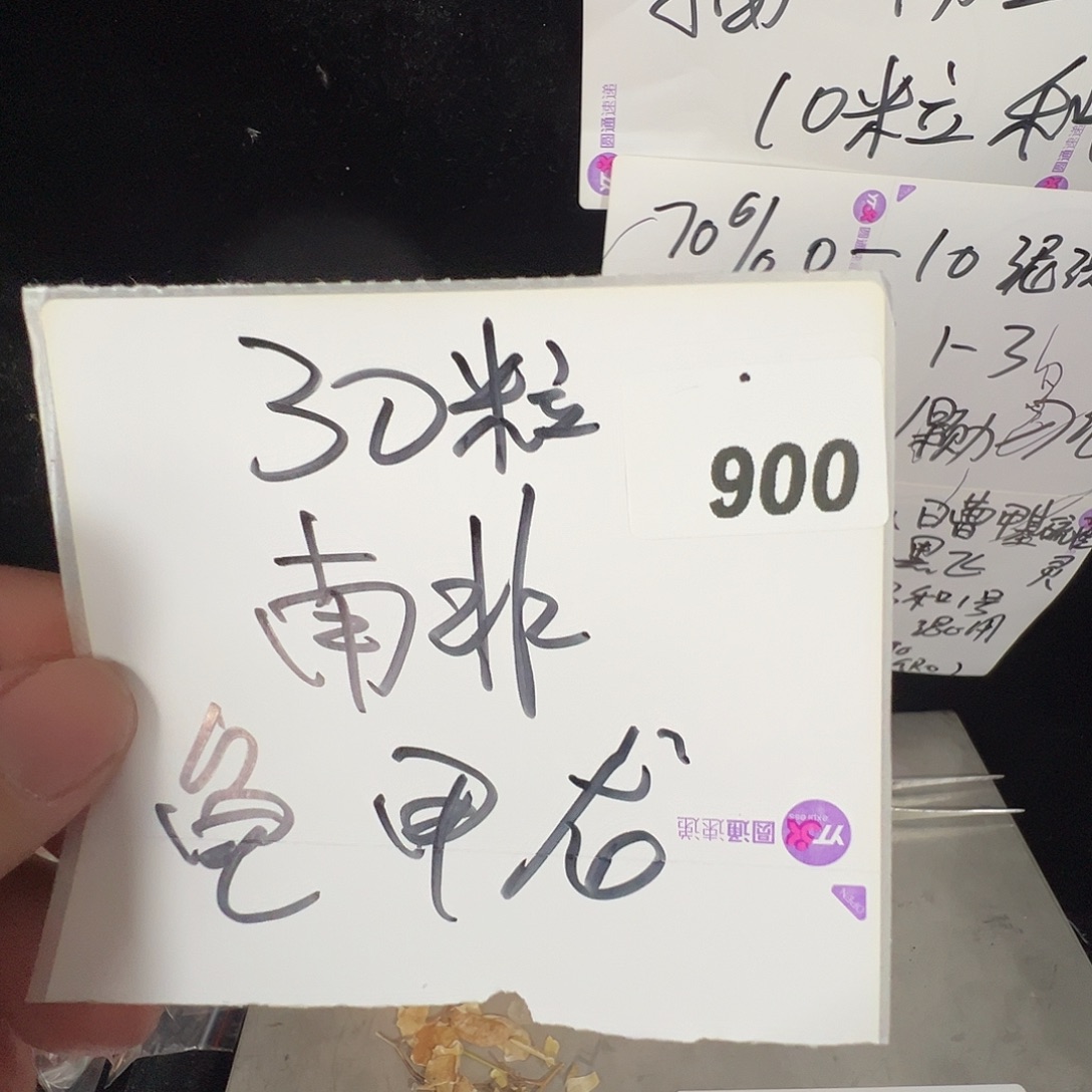 多肉植物专拍植物不退换 一物一拍 900