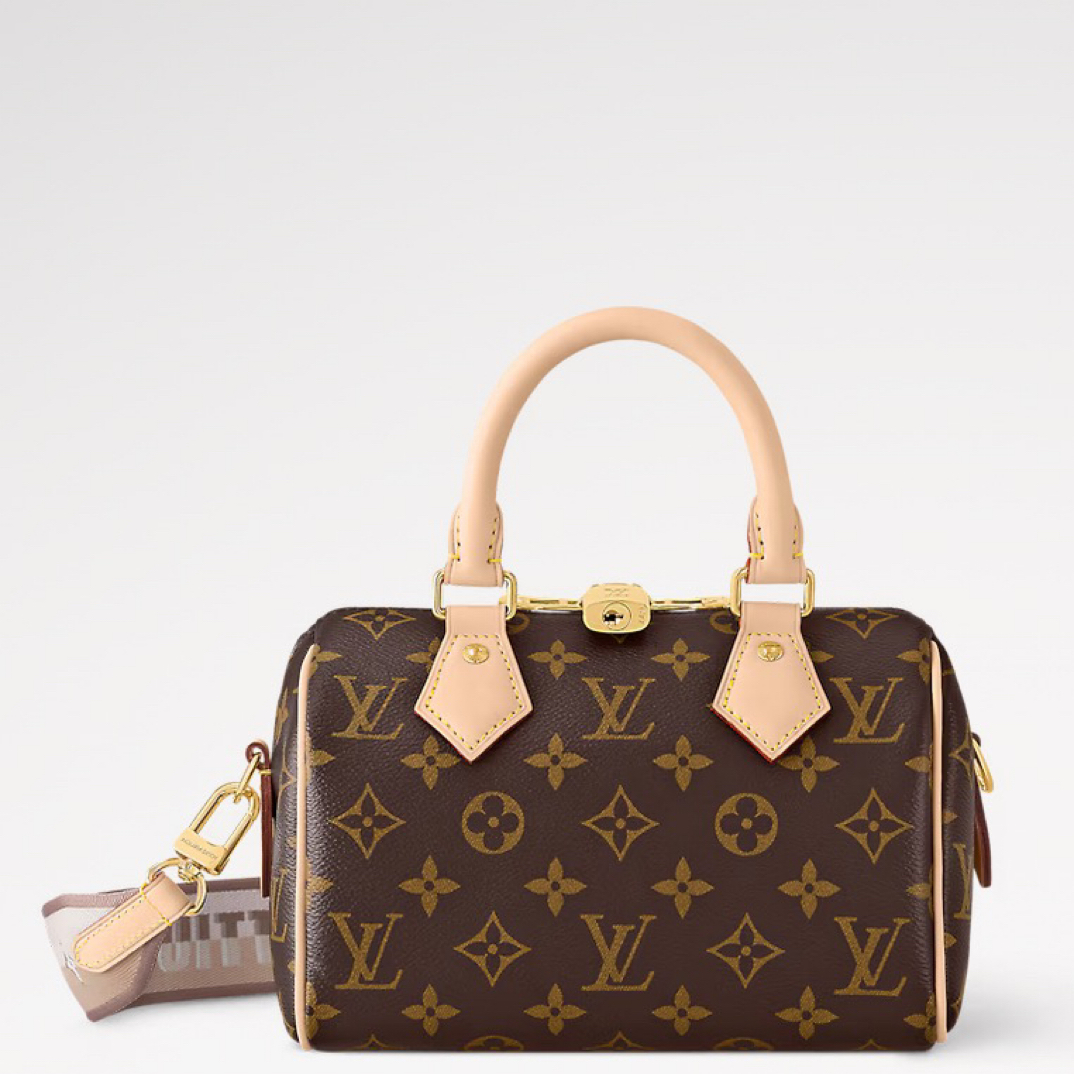 95新 LouisVuitton/路易威登 speedy20 芯片款/JW7980