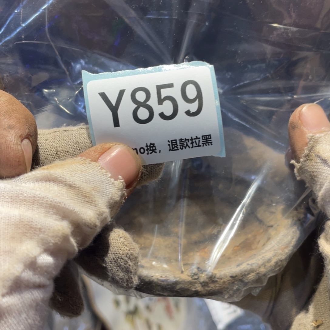 中***哥瓷片表弟链接火爆热卖热卖