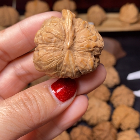 S***n文玩核桃把件核桃