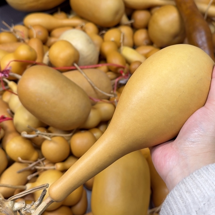 上****竹类棒槌葫芦葫芦