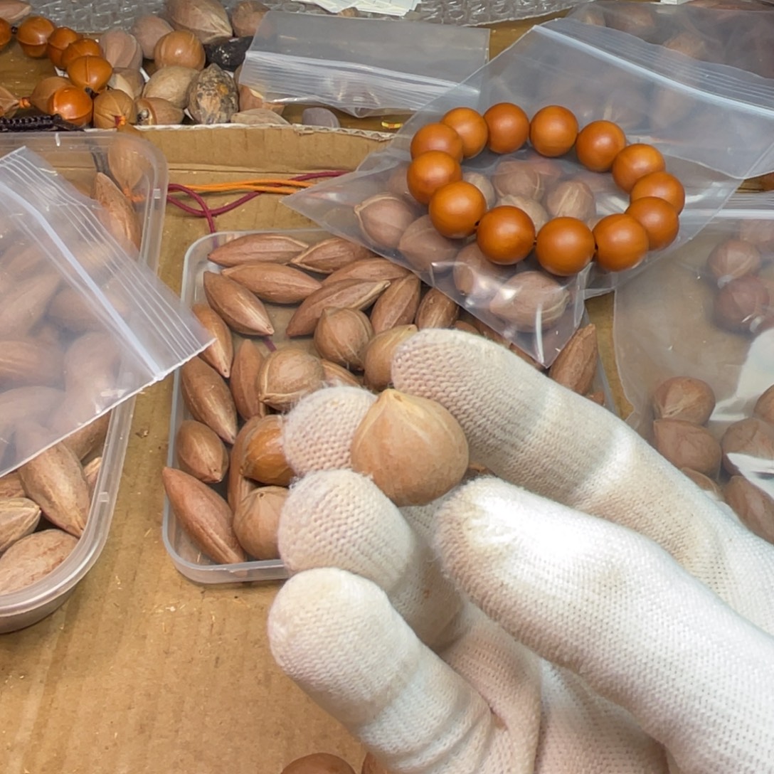 继***禅橄榄核手串/手链1