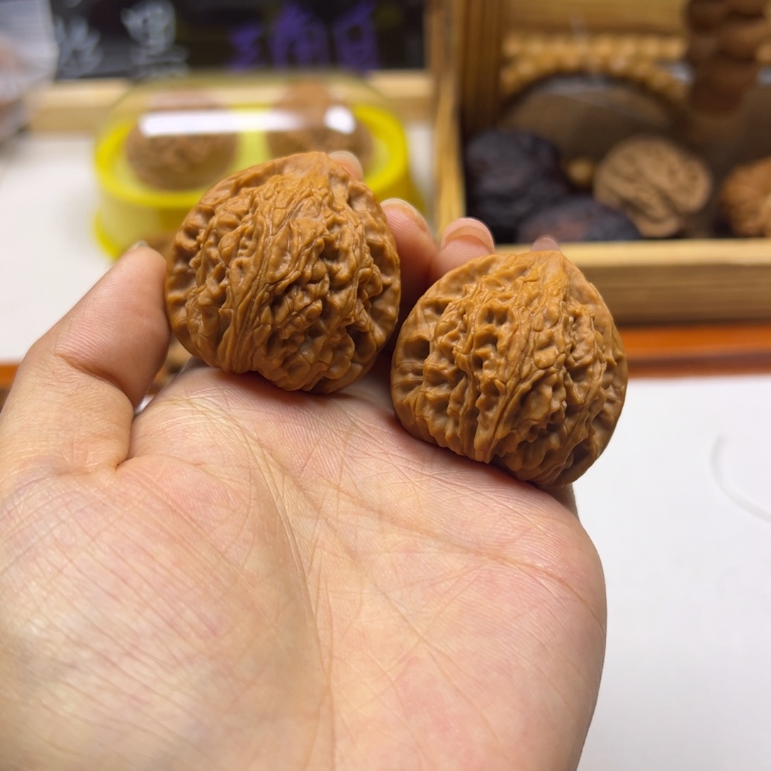 葫芦太行山龙珠全品37