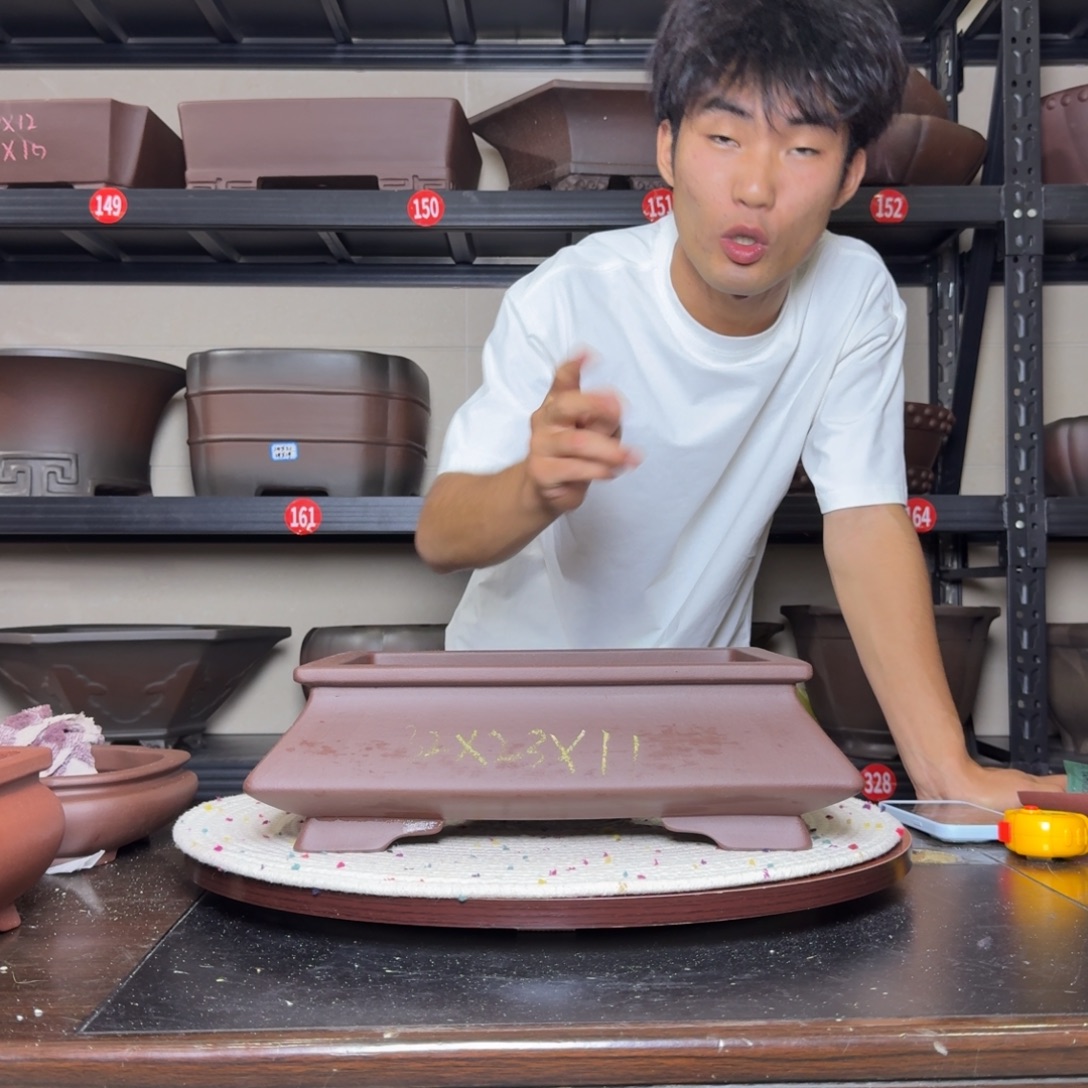 紫砂其他呜呜呜呜