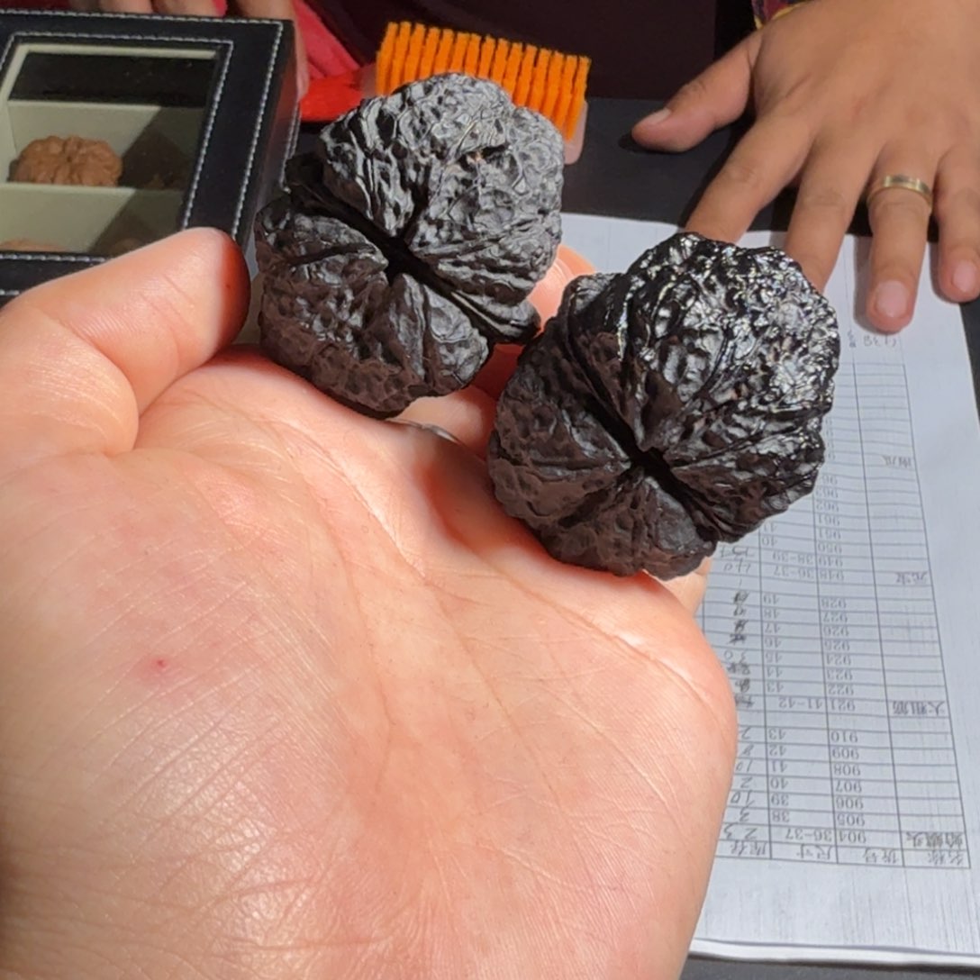 文玩核桃把件老张二号元宝蟾