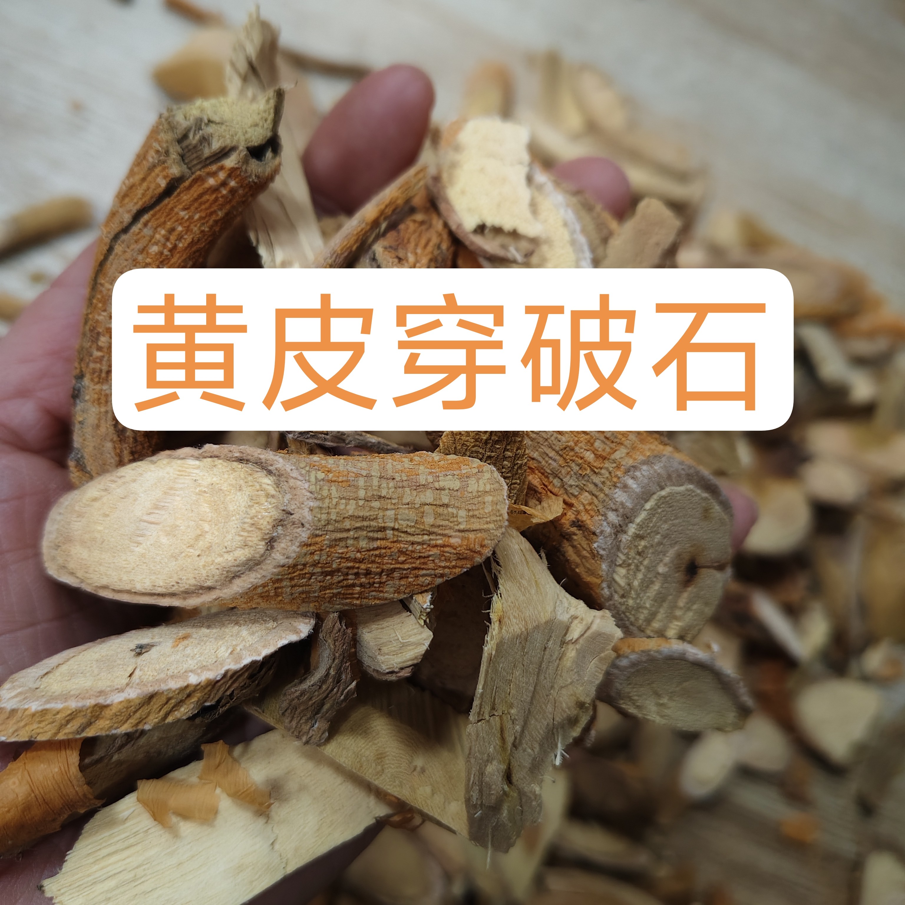 野生穿破石（黄脚鸡）梅州大埔发出500克包邮干品