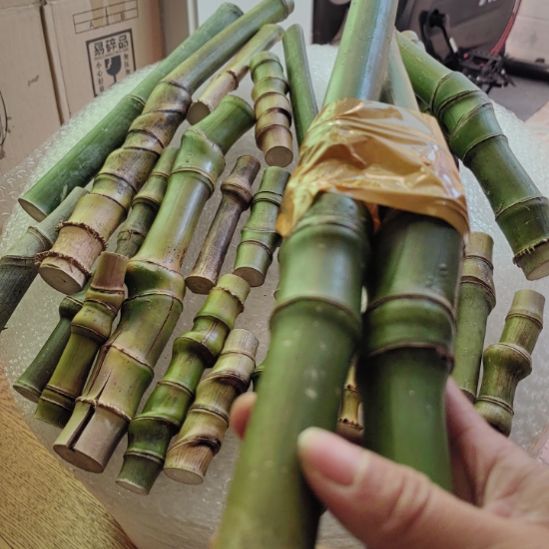 川***店发发发发发发发订单量