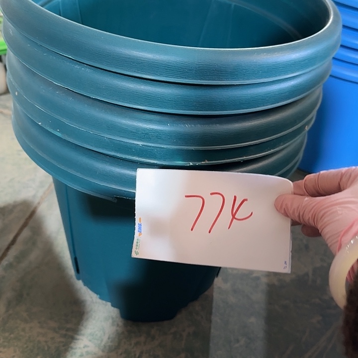 编号774缺口口径40青山