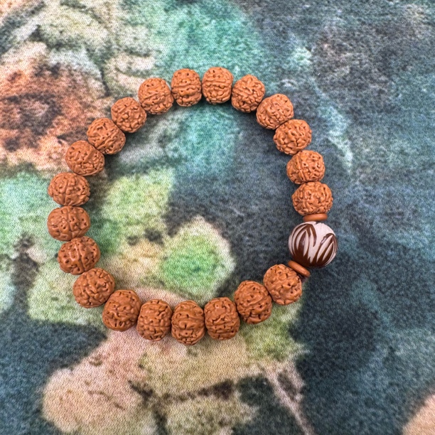 小金刚菩提单圈TP-1199