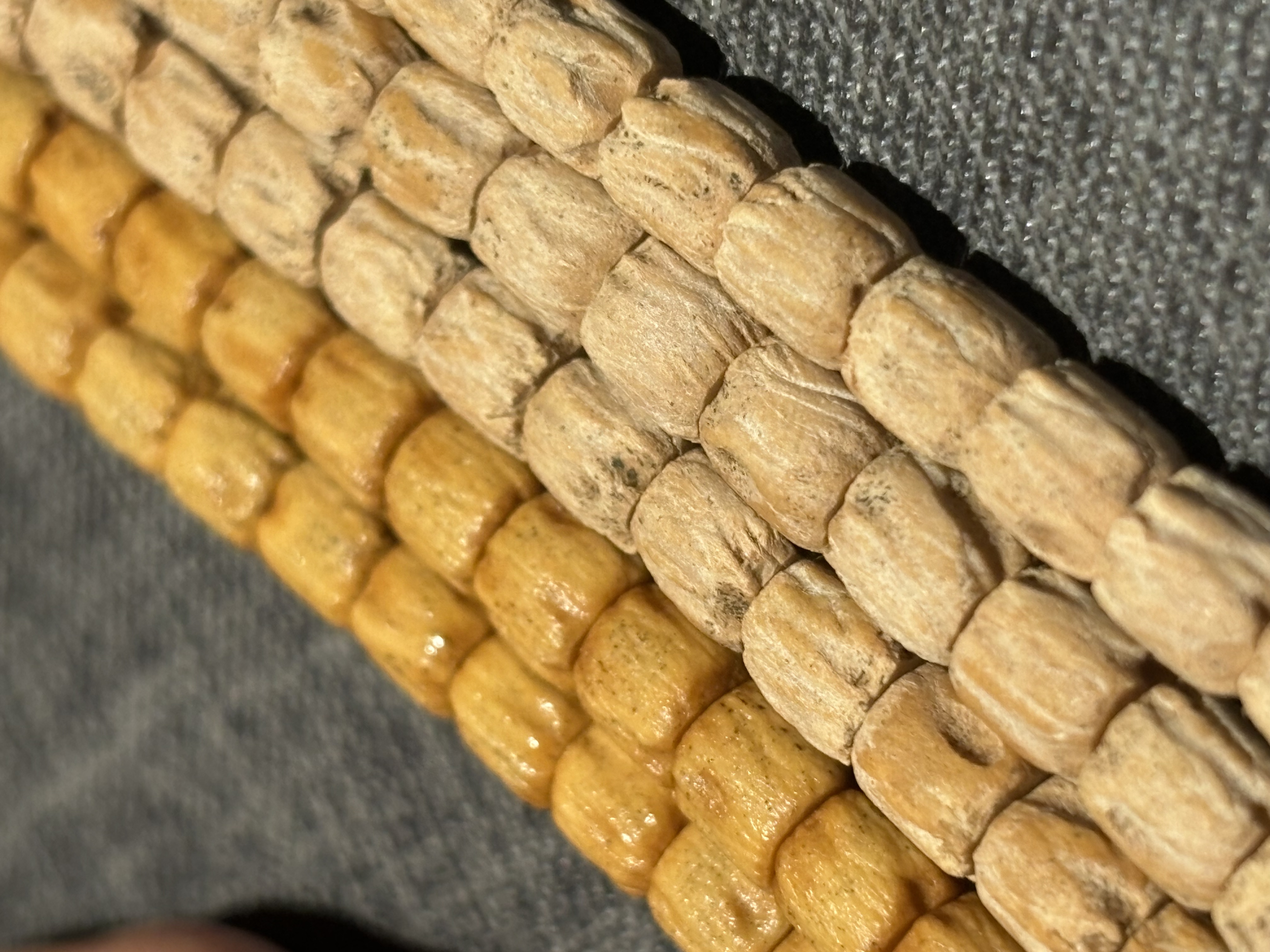 【百香籽产地】雕刻直筒顺｜平替大毕业｜热籽白皮白芽雕刻029
