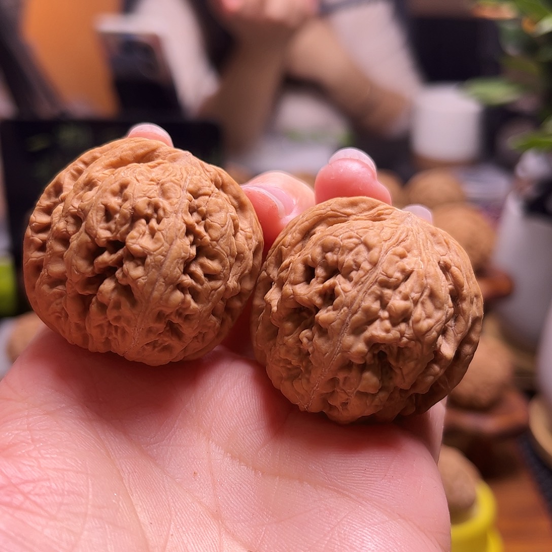 小***样把件文玩核桃38尺全品白茬粗筋28