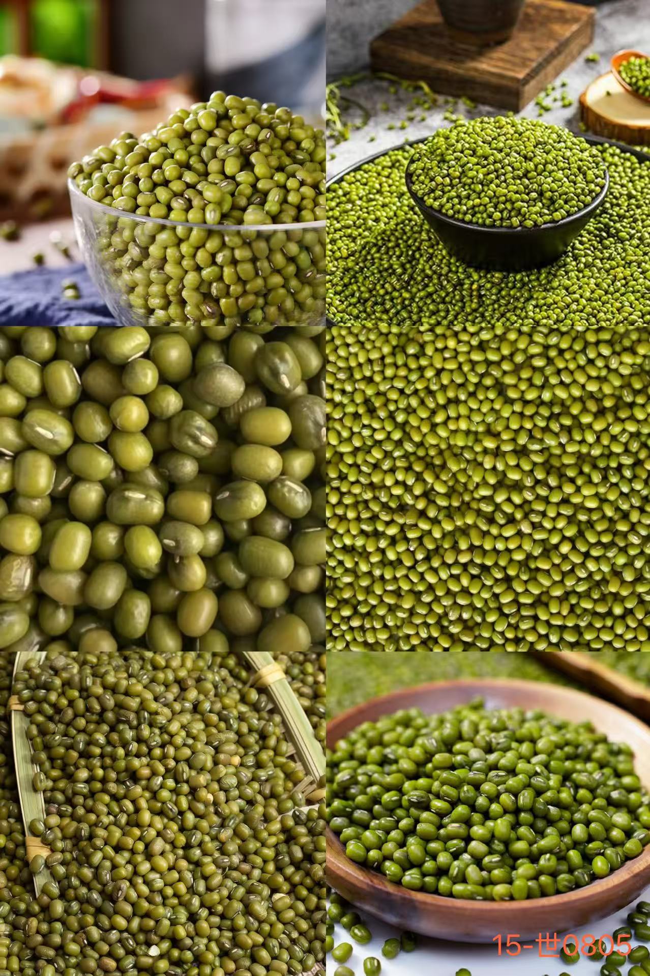《15》来总专属土特产 绿豆-0.8-世0805-37g