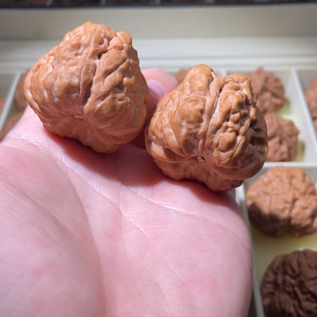 文玩核桃把件荒41蛤蟆