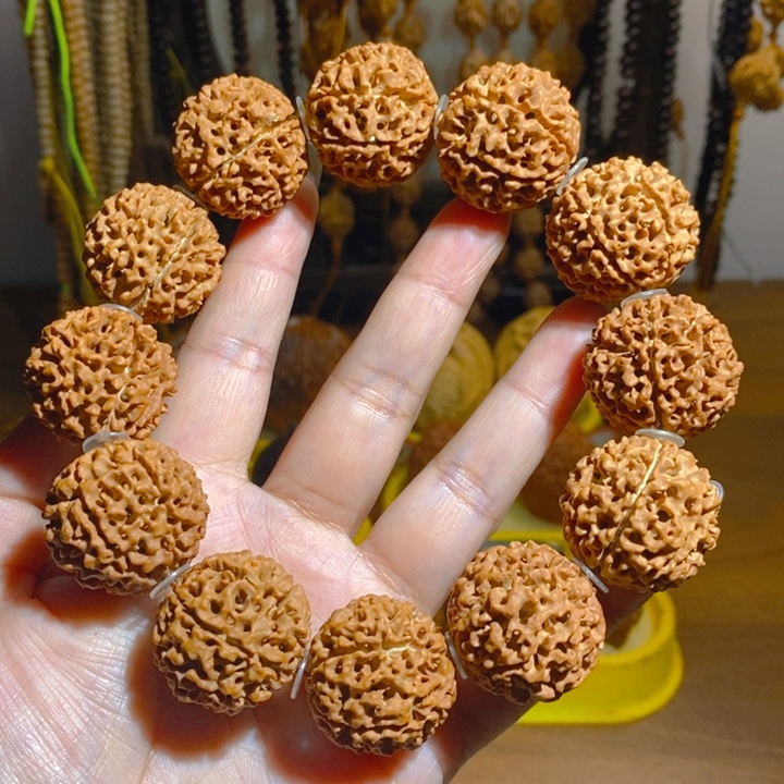 野生多瓣大金刚手持