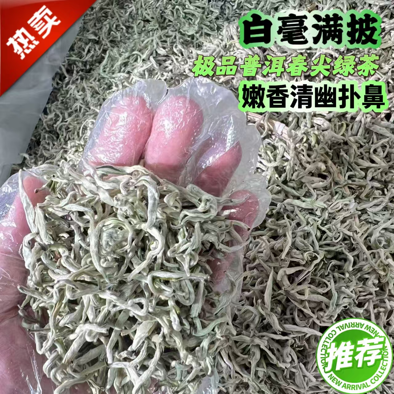 【精品单芽雪龙】云南春尖绿茶芽头饱满回甘商务送礼佳品（煮泡均可）