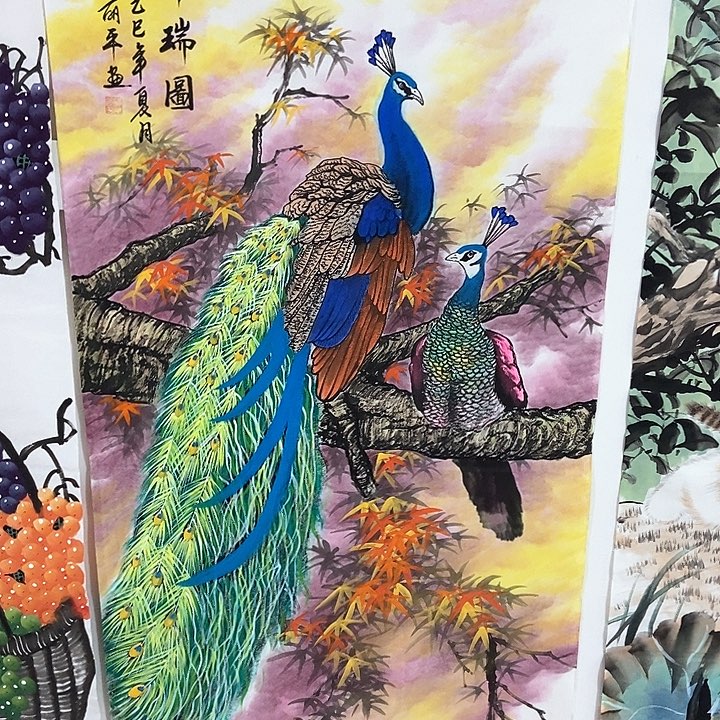 小周画廊的直播间