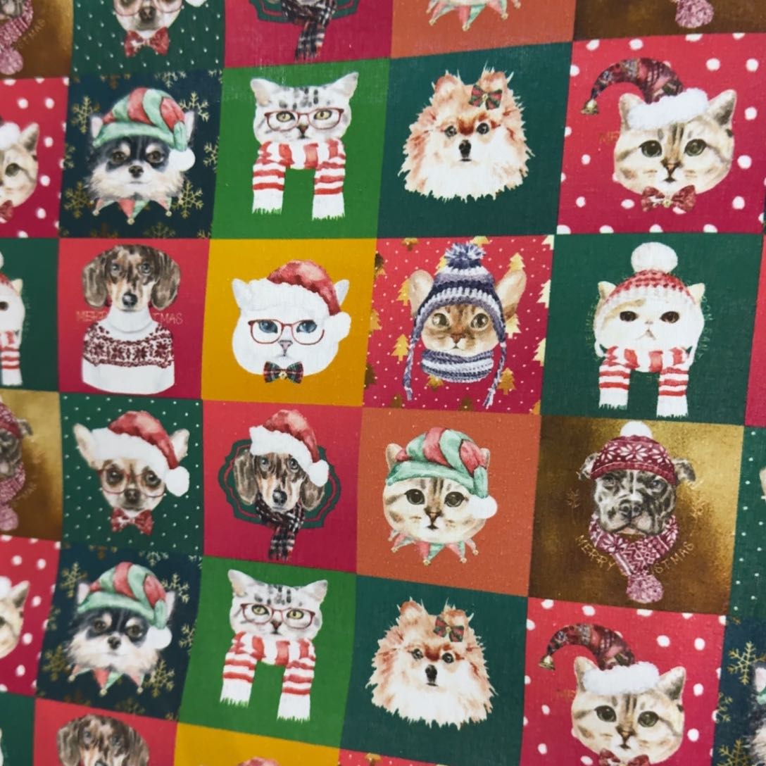 棉纯棉平布1米价X1.1米宽爆