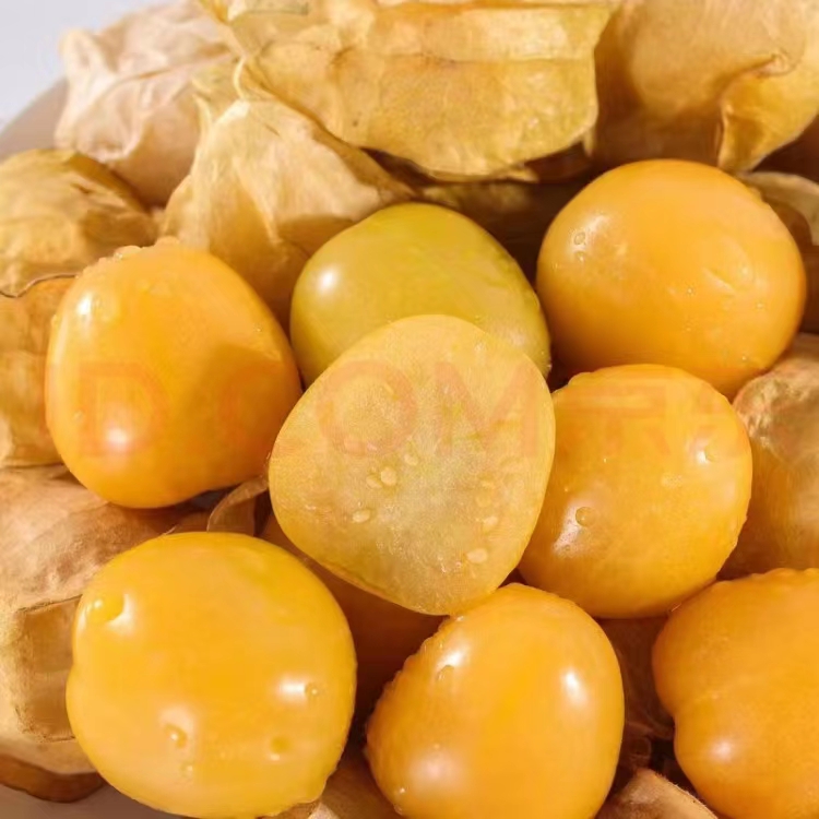 莫旗黄菇娘果(嘎嘎甜)