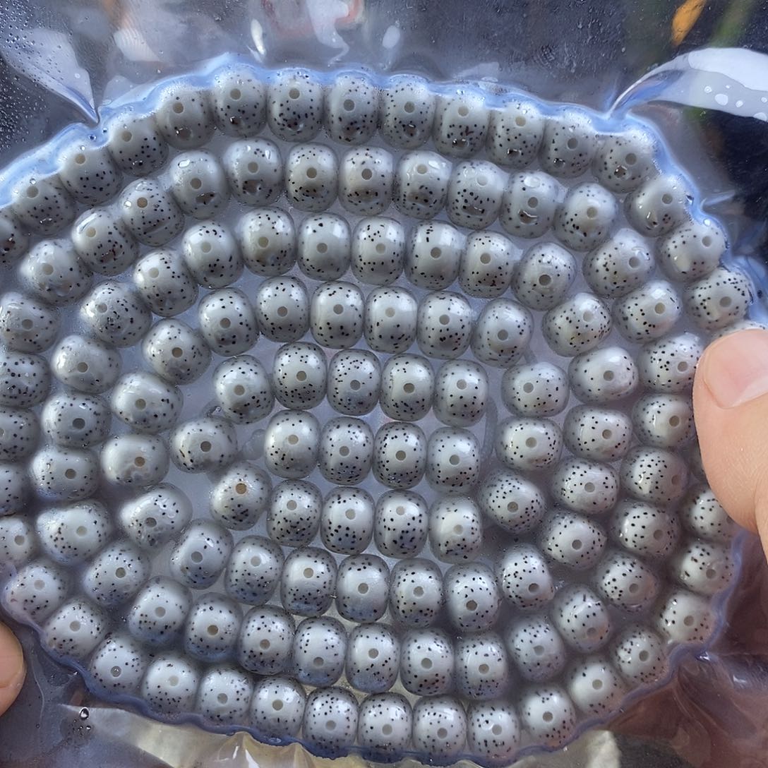 一***能星月菩提手串星月