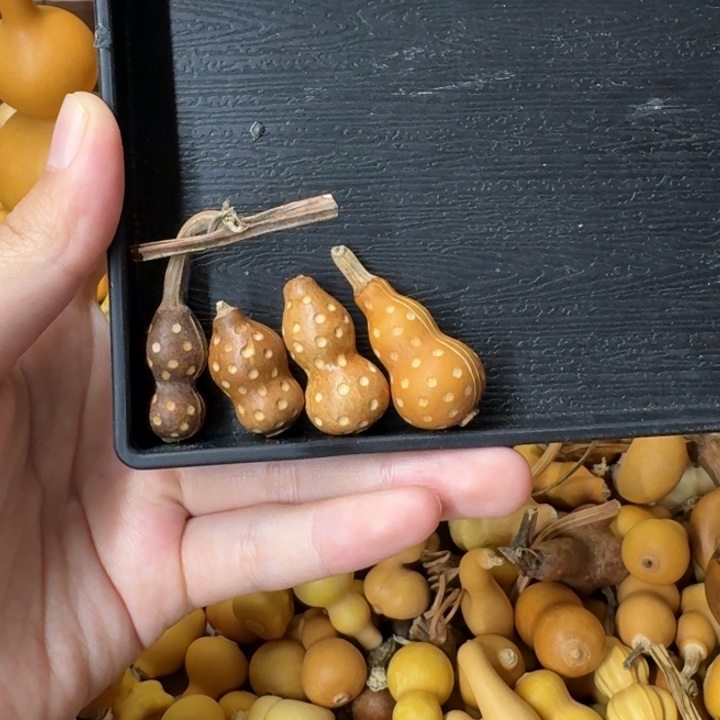 葫芦葫芦葫芦可拆