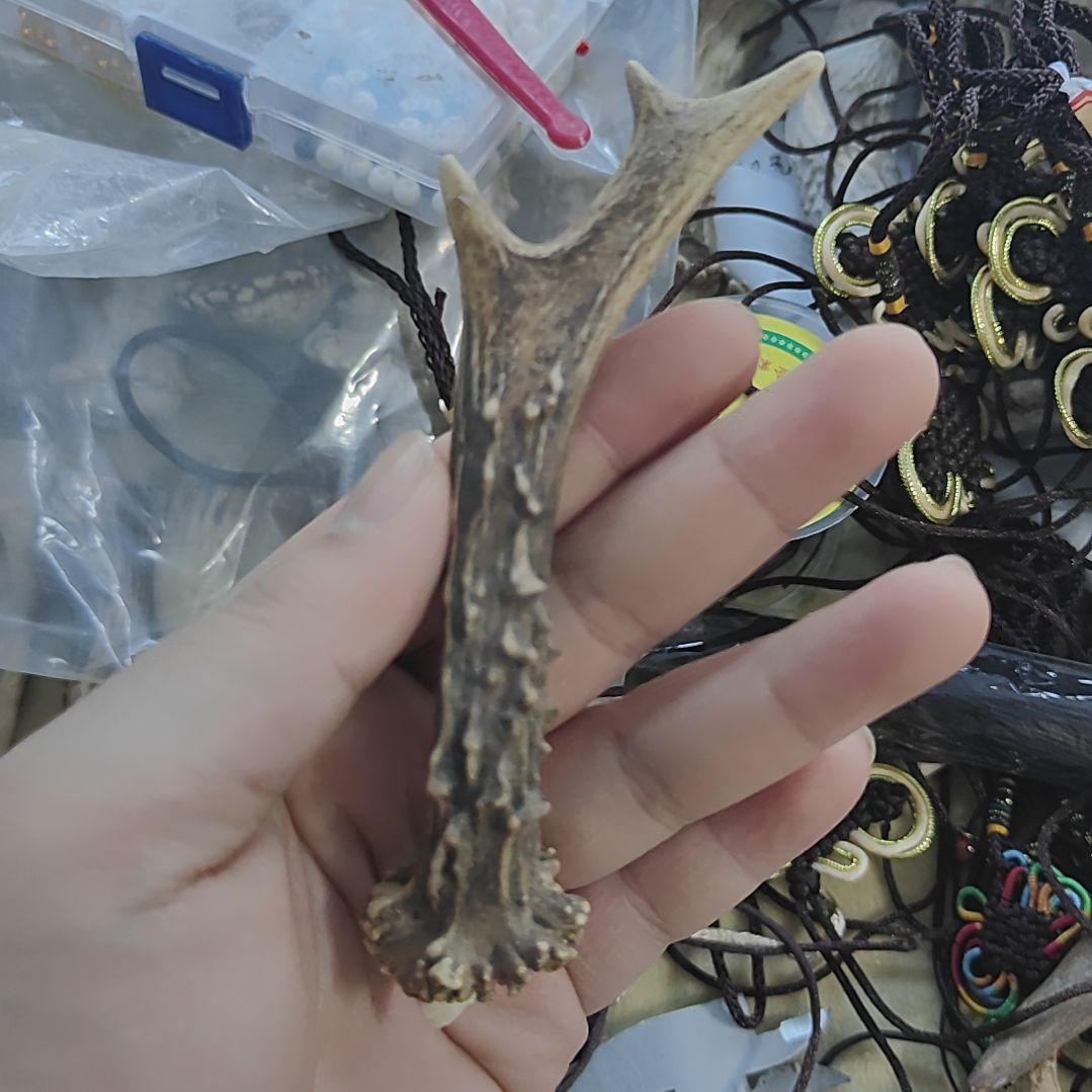 紫***桐非金属鹿角精品小角