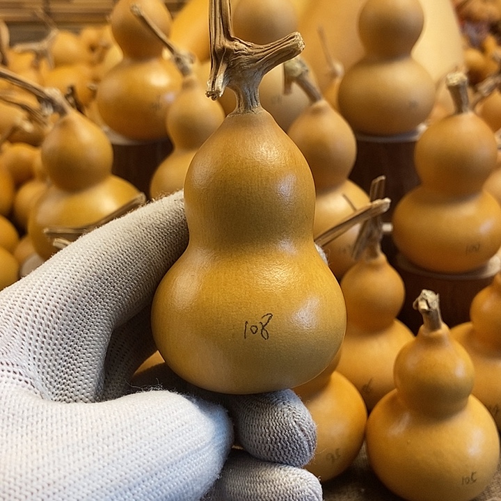 文玩葫芦 完美主义者 慎拍108