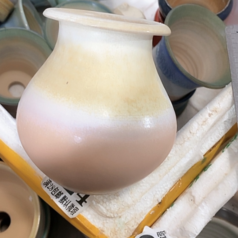 【闪购商品】红陶口6