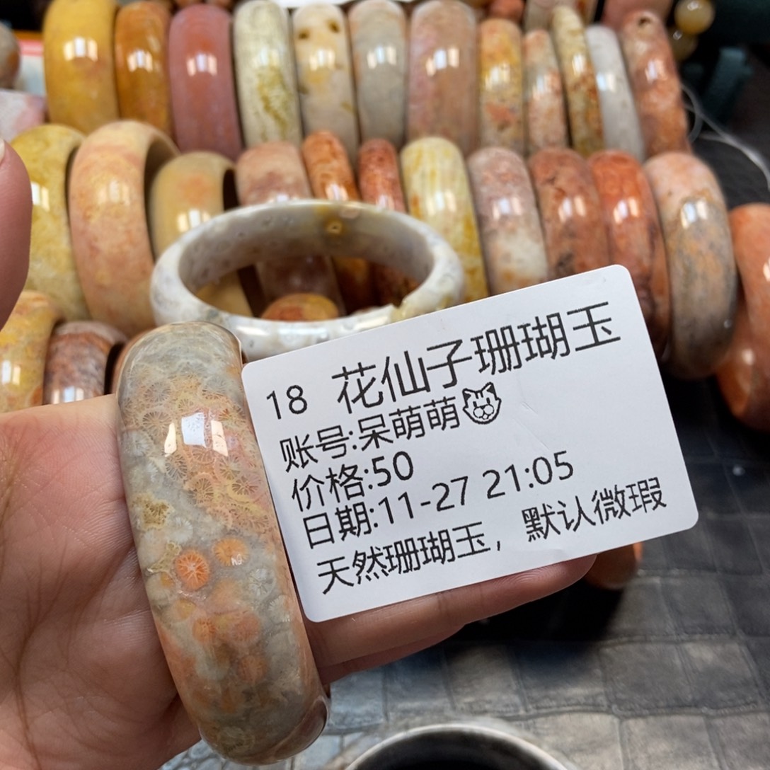 呆****硅化珊瑚（珊瑚玉）未镶嵌珠宝半成品18